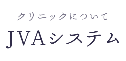 JVA システム