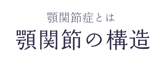 顎関節の構造